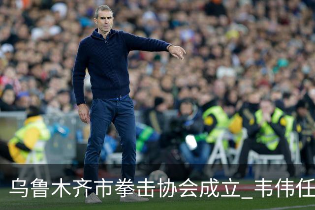 乌鲁木齐市拳击协会成立 韦伟任会长
