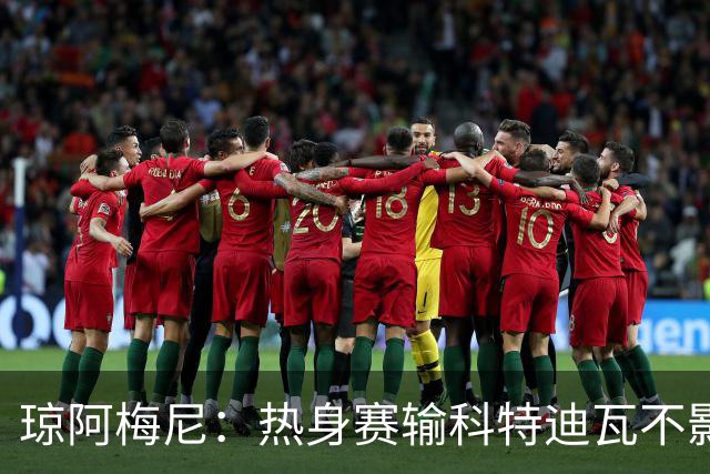琼阿梅尼：热身赛输科特迪瓦不影响法国，可以说是一次小小的提醒